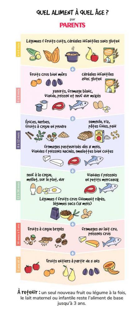 Infographie de l'intégration des différents aliments dans la diversification alimentaire